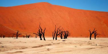 Namib Çölü